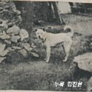 사이토 히로치키가 탄복한 '태백이' 이미지