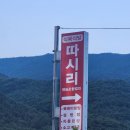 따시리 이미지