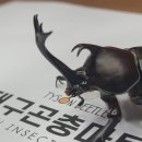 대구곤충마트 이미지