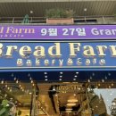 [전북대] 브레드팜 신규오픈!! 전북대 빵지순례