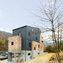 편백숲,쉼 이미지