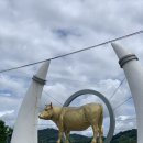 네덜란드꿩만두본점 이미지