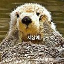첨단썬팅