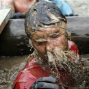 도전자네 농장 이미지