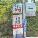 대풍농원 | [시흥] 하우고개 맛집 대풍농원 오리누룽지백숙 후기