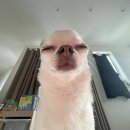 게으른 날 이미지