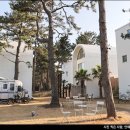 제주평대파노라마 | 제주도 펜션 제주 숙소 추천 동쪽 하도리 애견동반