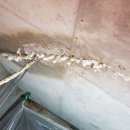 두리당구장 이미지