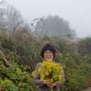 진숙농장 이미지