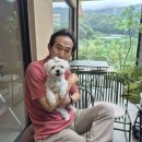 꼬야애견 | 김해 애견동반카페 유유유 후기 여름방학 4일차 강아지도 즐거워