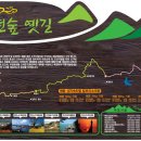 천년숲 이미지
