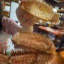 쇼군 | 삿포로 털게 맛집 추천 카니쇼군 2인 35만원 삿포로 털게 코스 내돈내산 솔직 후기