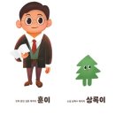 상록 이미지
