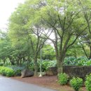 근원목장 | 신화와 현실의 경계를 걷다: 제주동화마을에 투영된 섬의 영혼과 인문학적 가치