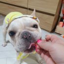 따바크 TABAQUE