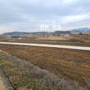 토지대장공인중개사사무소 이미지