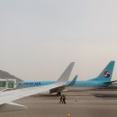 서울콜렉터