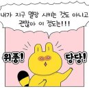 싱싱회센타 이미지