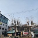 태국쌀국수