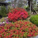 부흥부동산중개사무소 이미지