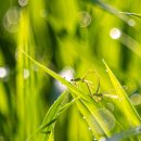 이브엔핀스튜디오 이미지