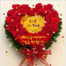 양양솔송이