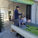 단양군 농업기술센터 이미지