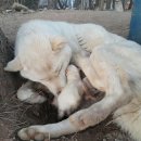 재순농장 이미지