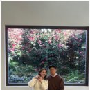 풀베개 12월 제주 여행 기록🌺 | 동백포레스트 · <b>풀</b><b>베개</b> · 제주신화월드