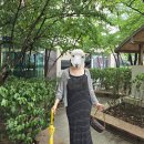 대갈장군찜 | [빅사이즈] 77 88 입은옷 ootd 내돈내산 후기