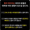 [뫼비우스] 2024 소울의 신제품 프레임 프로텍터와 엔진가드 프로텍터로 놀랄 만큼 향상되는 라이딩 경험을 체험해 보세요!! 이미지