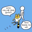 쭈삼춘천닭갈비