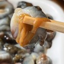 하이원펫클럽 | [강원정선｜고한리] 반려동반 여행 하이원펫클럽 비수기방문 늦은후기