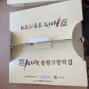 강릉 1박 2일 여행-보헤미안커피, 짬뽕순두부, 월화거리 짬뽕빵, 하슬라아트월드뮤지엄호텔, 열해 홍게...