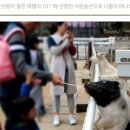 동산팜 네이버블로그