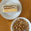 푸른파도 | 뉴질랜드 워홀 DAY 64:푸른빛 파도를 찾아서 밤에 첫 외출하기