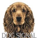 도그지음 이미지