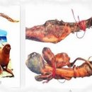 물개, 올눌제, 올눌, 해구신은 신체허약, 양기부족, 정신쇠약, 어지럼증 등에 사용하엿다 이미지