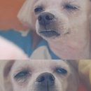 아찌냉면 이미지