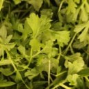 영채농장 이미지