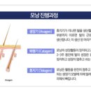 티엔피부과의원 이미지