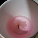 올리브어린이집 이미지