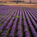 강진상사 | 백성을 위한 행정 교과서, 『목민심서』를 다시 읽다