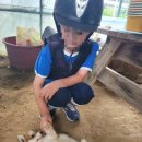 건영승마장 이미지