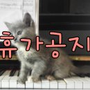 이화더피아노 이미지