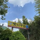 벗나무집