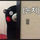 워시몬스터 이미지