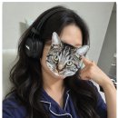 마샬 헤드셋 메이저5 구매후기