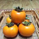 왕촌농원 | <10월31일장터>공주맘을 위한 공주시 로컬푸드 직거래 장터 사용법 ^^