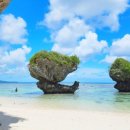 비치조아 이미지